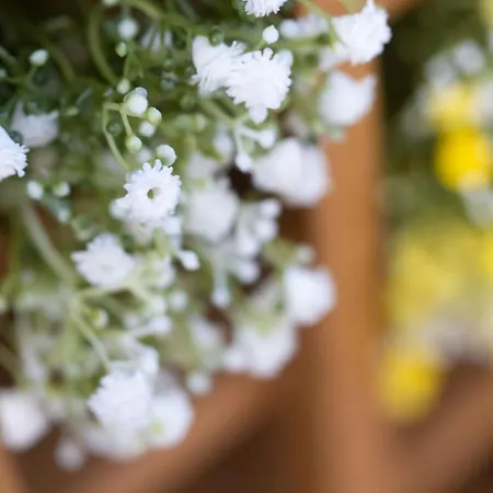 Pinewood - Newby Bridge Feriehus