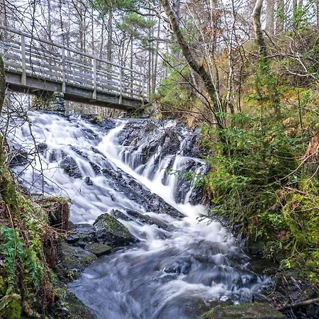 Pinewood - Newby Bridge Feriehus